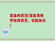 宜昌肉灵芝(宜昌发现罕见肉灵芝，引起关注)