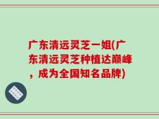 广东清远灵芝一姐(广东清远灵芝种植达巅峰，成为全国知名品牌)