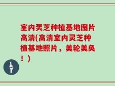 室内灵芝种植基地图片高清(高清室内灵芝种植基地照片，美轮美奂！)