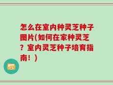 怎么在室内种灵芝种子图片(如何在家种灵芝？室内灵芝种子培育指南！)