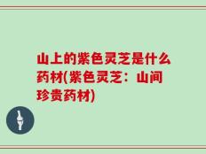 山上的紫色灵芝是什么药材(紫色灵芝：山间珍贵药材)