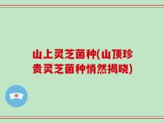 山上灵芝菌种(山顶珍贵灵芝菌种悄然揭晓)