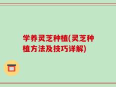 学养灵芝种植(灵芝种植方法及技巧详解)