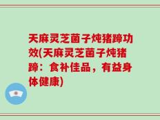天麻灵芝菌子炖猪蹄功效(天麻灵芝菌子炖猪蹄：食补佳品，有益身体健康)