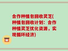 合作种植包回收灵芝(种植包回收计划：合作种植灵芝优化资源，实现循环经济)