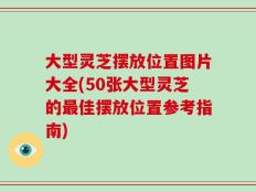 大型灵芝摆放位置图片大全(50张大型灵芝的最佳摆放位置参考指南)