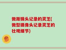 微距镜头记录的灵芝(微型摄像头记录灵芝的壮观细节)