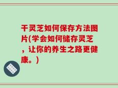 干灵芝如何保存方法图片(学会如何储存灵芝，让你的养生之路更健康。)