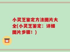 小灵芝鉴定方法图片大全(小灵芝鉴定：详细图片步骤！)
