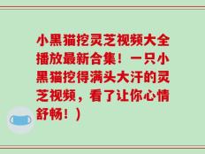 小黑猫挖灵芝视频大全播放最新合集！一只小黑猫挖得满头大汗的灵芝视频，看了让你心情舒畅！)