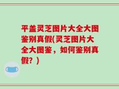 平盖灵芝图片大全大图鉴别真假(灵芝图片大全大图鉴，如何鉴别真假？)