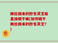 刚捡回来的野生灵芝能直接晒干嘛(如何晒干刚捡回来的野生灵芝？)