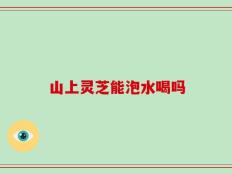 山上灵芝能泡水喝吗