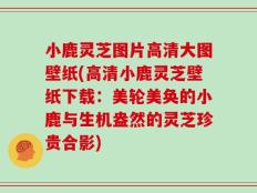 小鹿灵芝图片高清大图壁纸(高清小鹿灵芝壁纸下载：美轮美奂的小鹿与生机盎然的灵芝珍贵合影)