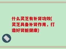什么灵芝有补肾功效(灵芝具备补肾作用，打造好肾脏健康)
