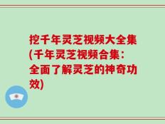 挖千年灵芝视频大全集(千年灵芝视频合集：全面了解灵芝的神奇功效)