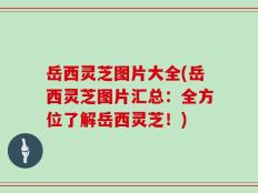 岳西灵芝图片大全(岳西灵芝图片汇总：全方位了解岳西灵芝！)