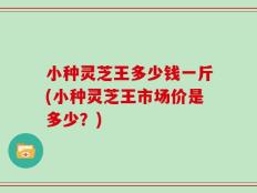 小种灵芝王多少钱一斤(小种灵芝王市场价是多少？)