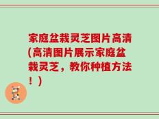家庭盆栽灵芝图片高清(高清图片展示家庭盆栽灵芝，教你种植方法！)