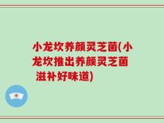 小龙坎养颜灵芝菌(小龙坎推出养颜灵芝菌  滋补好味道)