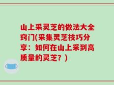 山上采灵芝的做法大全窍门(采集灵芝技巧分享：如何在山上采到高质量的灵芝？)
