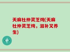 天麻杜仲灵芝炖(天麻杜仲灵芝炖，滋补又养生)