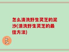 怎么清洗野生灵芝的泥沙(清洗野生灵芝的最佳方法)