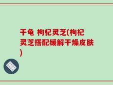 干龟 枸杞灵芝(枸杞灵芝搭配缓解干燥皮肤)