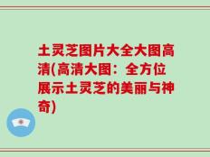 土灵芝图片大全大图高清(高清大图：全方位展示土灵芝的美丽与神奇)