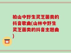 拍山中野生灵芝菌类的抖音歌曲(山林中野生灵芝菌类的抖音主题曲)