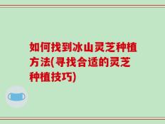 如何找到冰山灵芝种植方法(寻找合适的灵芝种植技巧)