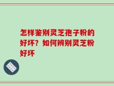 怎样鉴别灵芝孢子粉的好坏？如何辨别灵芝粉好坏