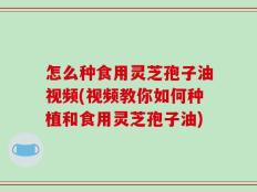 怎么种食用灵芝孢子油视频(视频教你如何种植和食用灵芝孢子油)