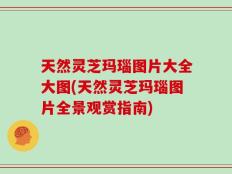 天然灵芝玛瑙图片大全大图(天然灵芝玛瑙图片全景观赏指南)