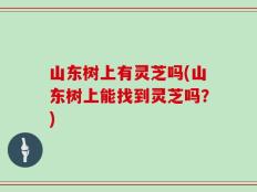 山东树上有灵芝吗(山东树上能找到灵芝吗？)