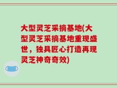 大型灵芝采摘基地(大型灵芝采摘基地重现盛世，独具匠心打造再现灵芝神奇奇效)
