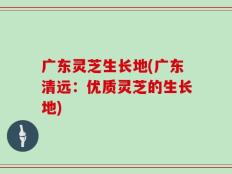 广东灵芝生长地(广东清远：优质灵芝的生长地)