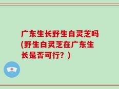广东生长野生白灵芝吗(野生白灵芝在广东生长是否可行？)