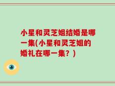 小星和灵芝姐结婚是哪一集(小星和灵芝姐的婚礼在哪一集？)