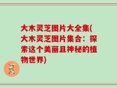 大木灵芝图片大全集(大木灵芝图片集合：探索这个美丽且神秘的植物世界)