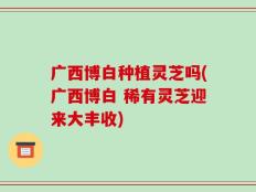 广西博白种植灵芝吗(广西博白 稀有灵芝迎来大丰收)
