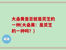 大桑黄是否就是灵芝的一种(大桑黄：是灵芝的一种吗？)