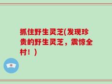 抓住野生灵芝(发现珍贵的野生灵芝，震惊全村！)