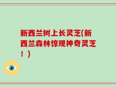 新西兰树上长灵芝(新西兰森林惊现神奇灵芝！)