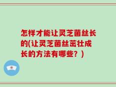 怎样才能让灵芝菌丝长的(让灵芝菌丝茁壮成长的方法有哪些？)