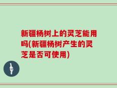 新疆杨树上的灵芝能用吗(新疆杨树产生的灵芝是否可使用)