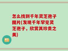 怎么找到千年灵芝孢子图片(发现千年罕见灵芝孢子，欣赏其珍贵之美)