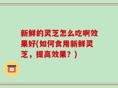 新鲜的灵芝怎么吃啊效果好(如何食用新鲜灵芝，提高效果？)