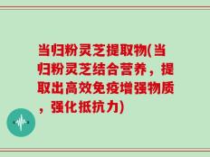 当归粉灵芝提取物(当归粉灵芝结合营养，提取出高效免疫增强物质，强化抵抗力)