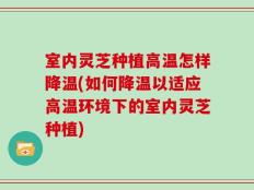 室内灵芝种植高温怎样降温(如何降温以适应高温环境下的室内灵芝种植)